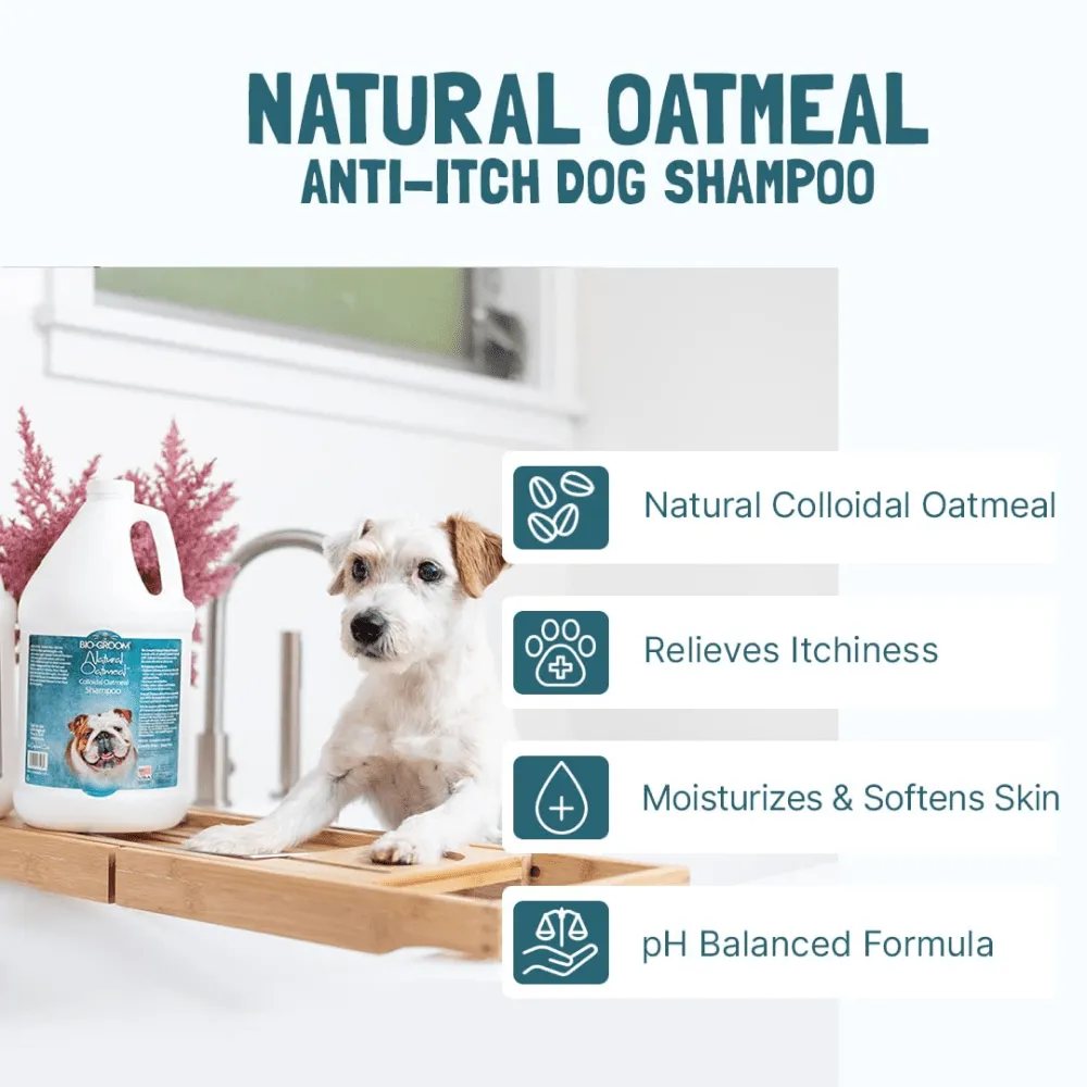 Bio Groom Natural Oatmeal Colloidal Soothing Shampoo for Dogs and Cats