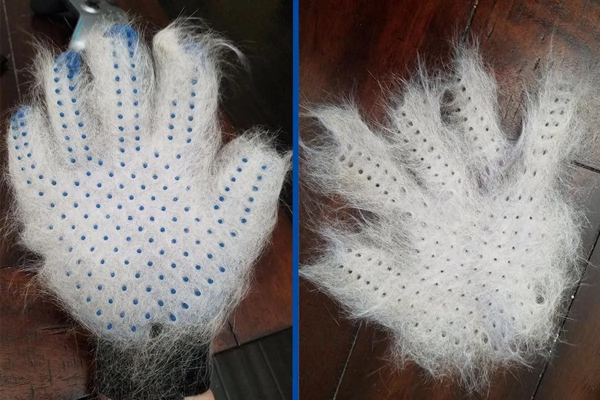 Pet Hair Remover Glove - Gentle Pet Grooming Glove Brush - Deshedding Glove - Massage Mitt with Enhanced Five Finger Design - Perfect for Dogs & Cats with Long & Short Fur - 1 Pack (Right-Hand)