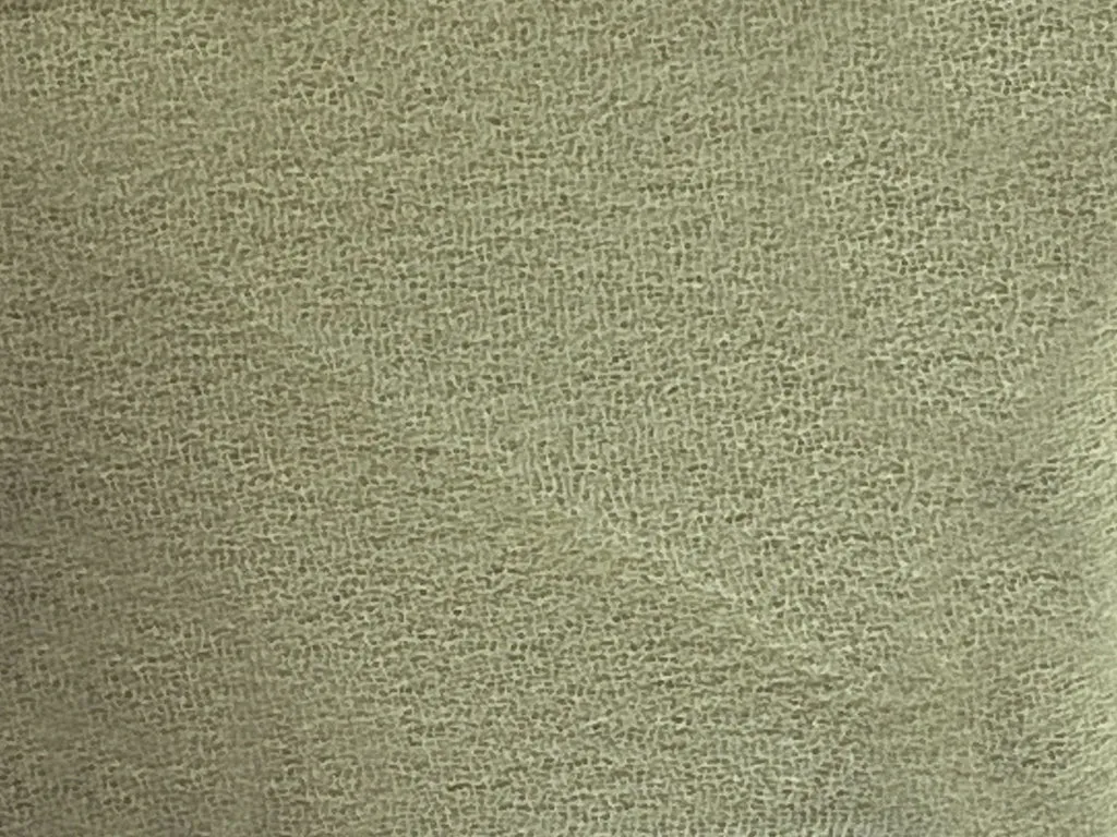 Pistachio Green Plain 60 Grams Georgette Fabric