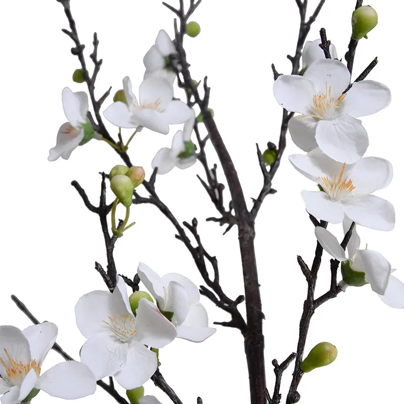 Quince flower branch, 60"L - White